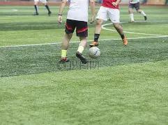 冬趣,李文风摄影,作品,OD体育,OD体育官网,OD体育官方,OD体育下载