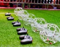 黄金逆袭,比特币挑战,官方储备,OD体育,OD体育官网,OD体育官方,OD体育下载