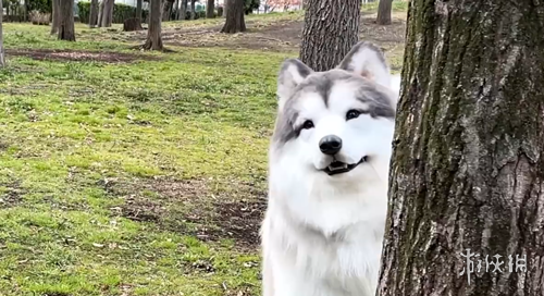 体育,产品,od体育,OD体育,OD体育官网,OD体育官方,OD体育下载