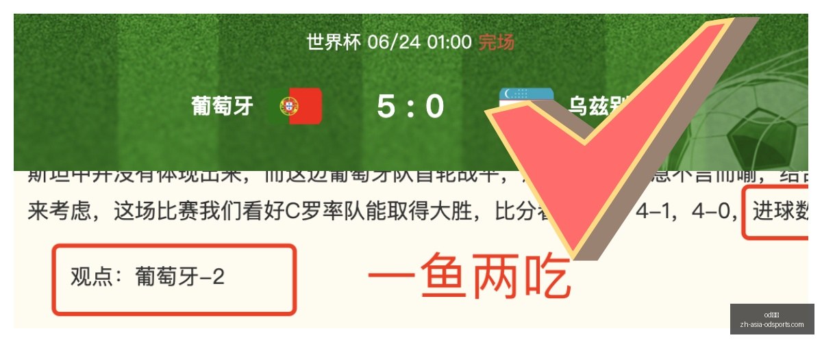 年战绩解析,能否稳如泰,od体育,od体育官网,od体育直播,od体育互动,od体育下载,od体育平台