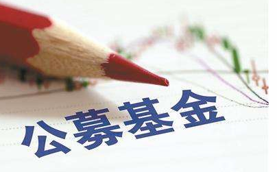 2026独家od体育直播：佛罗伦萨500万欧报价齐尔克泽，曼联评估进行时