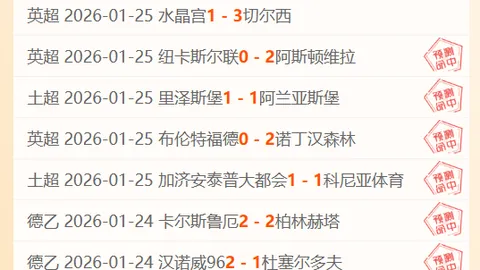 山东泰山2-2上海海港 中超第21轮 刘愚亮相首秀 胡靖航连中两元